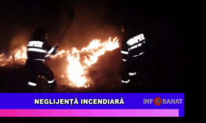 Neglijență incendiară