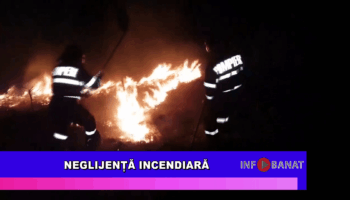 Neglijență incendiară