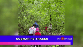 Coșmar pe traseu