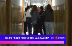 Ce au făcut profesorii la examen