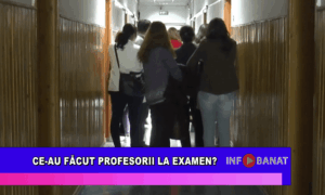 Ce au făcut profesorii la examen