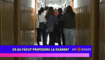 Ce au făcut profesorii la examen
