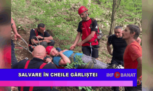Salvare în Cheile Gârliștei