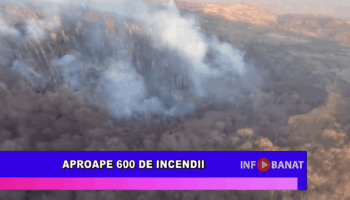 Aproape 600 de incendii