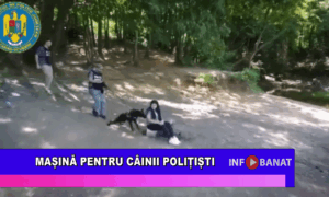 Mașină pentru câinii polițiști