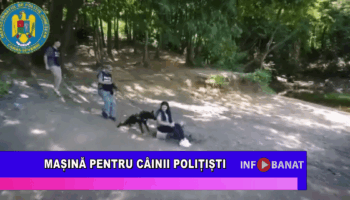 Mașină pentru câinii polițiști