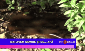 Mai avem nevoie și de… apă
