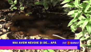 Mai avem nevoie și de… apă
