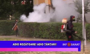 Adio rozătoare! Adio tânțari!