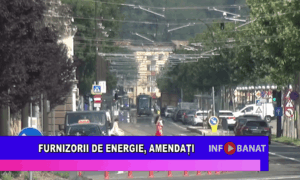 Furnizorii de energie, amendați