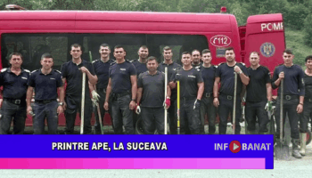 Printre ape, la Suceava