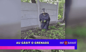 Au găsit o grenadă