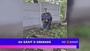 Au găsit o grenadă