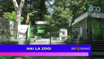 Hai la Zoo!