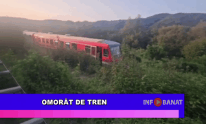Omorât de tren