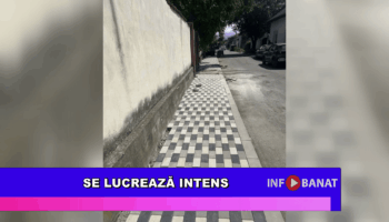 Se lucrează intens