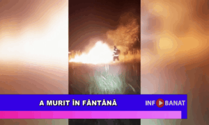 A murit în fântână