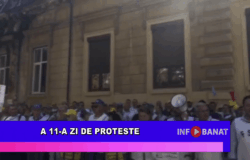 A 11-a zi de proteste
