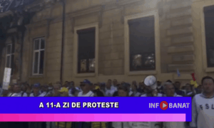 A 11-a zi de proteste