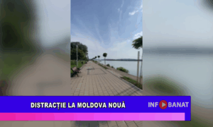 Distracție la Moldova Nouă