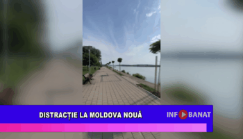 Distracție la Moldova Nouă