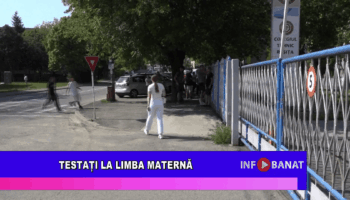 Testați la limba maternă