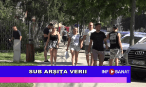 Sub arșița verii