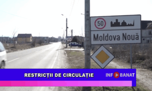 Restricții de circulație