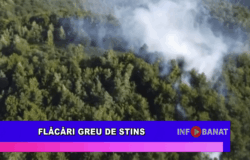 Flăcări greu de stins