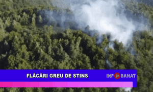 Flăcări greu de stins