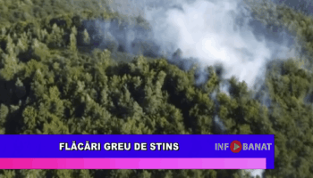 Flăcări greu de stins