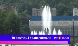 În continuă transformare
