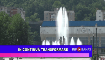 În continuă transformare