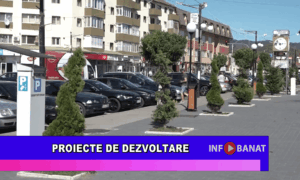 Proiecte de dezvoltare