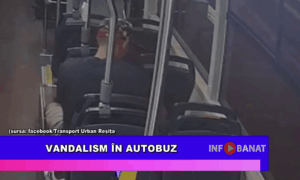 Vandalism în autobuz