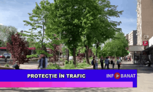 Protecție în trafic