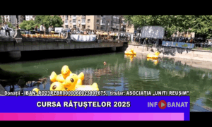 Curșa rățuștelor 2025