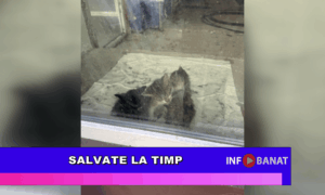 Salvate la timp