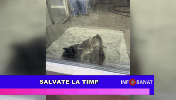 Salvate la timp
