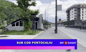 Sub cod portocaliu