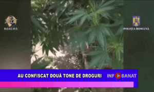 Au confiscat două tone de droguri