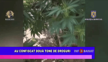 Au confiscat două tone de droguri
