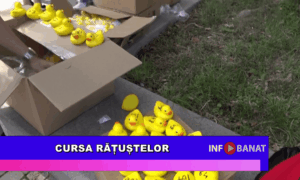 Cursa rățuștelor