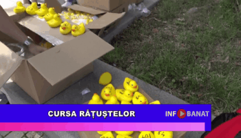 Cursa rățuștelor