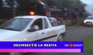 Dezinsecție la Reșița