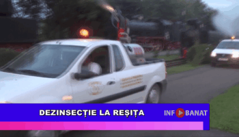 Dezinsecție la Reșița