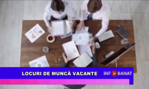 Locuri de muncă vacante