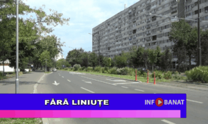 Fără linuțe