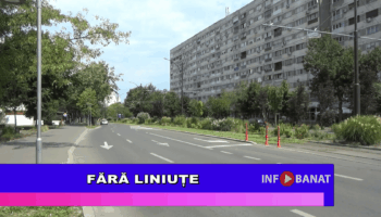 Fără linuțe