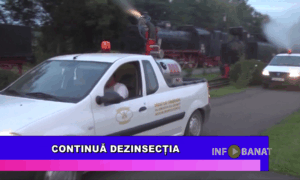 Continuă dezinsecția